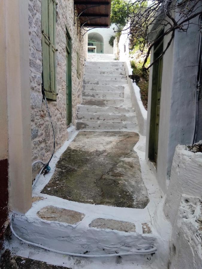 Grandma'S House Lägenhet Symi Exteriör bild